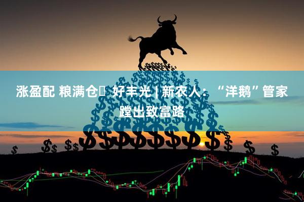 涨盈配 粮满仓・好丰光 | 新农人：“洋鹅”管家蹚出致富路