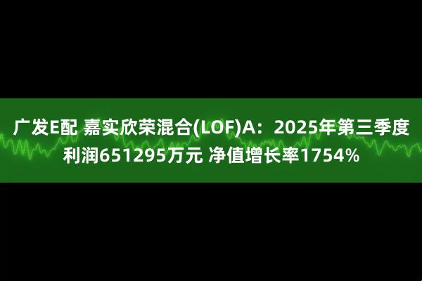 广发E配 嘉实欣荣混合(LOF)A：2025年第三季度利润651295万元 净值增长率1754%